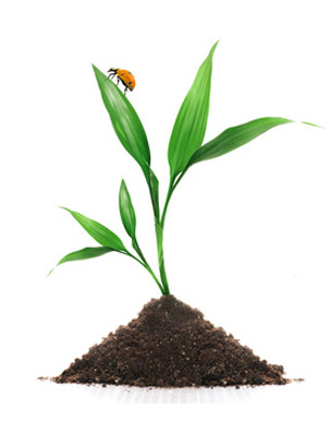 web agency, web desgin, gestionali