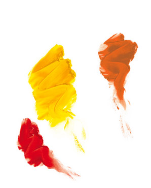 Aemmeweb srl, realizzazione siti web, web design